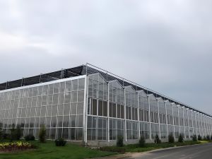 生态种植大棚